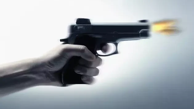 gun.jpg