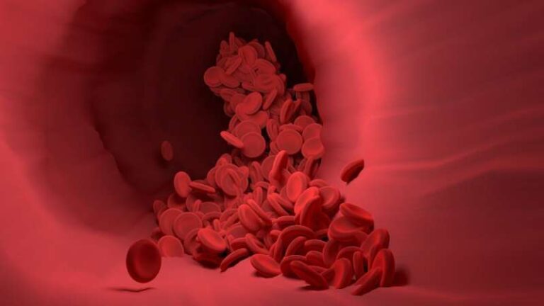 6-blood