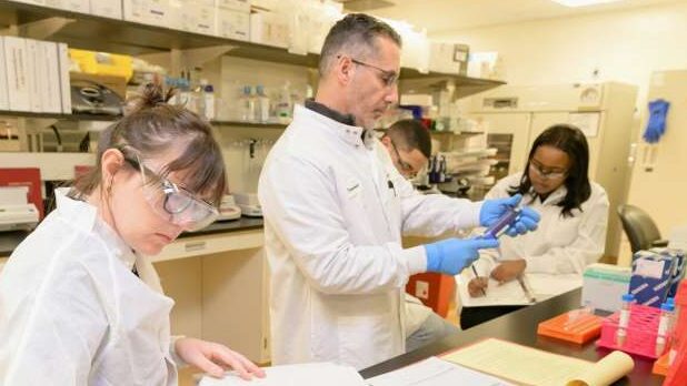 lab-research