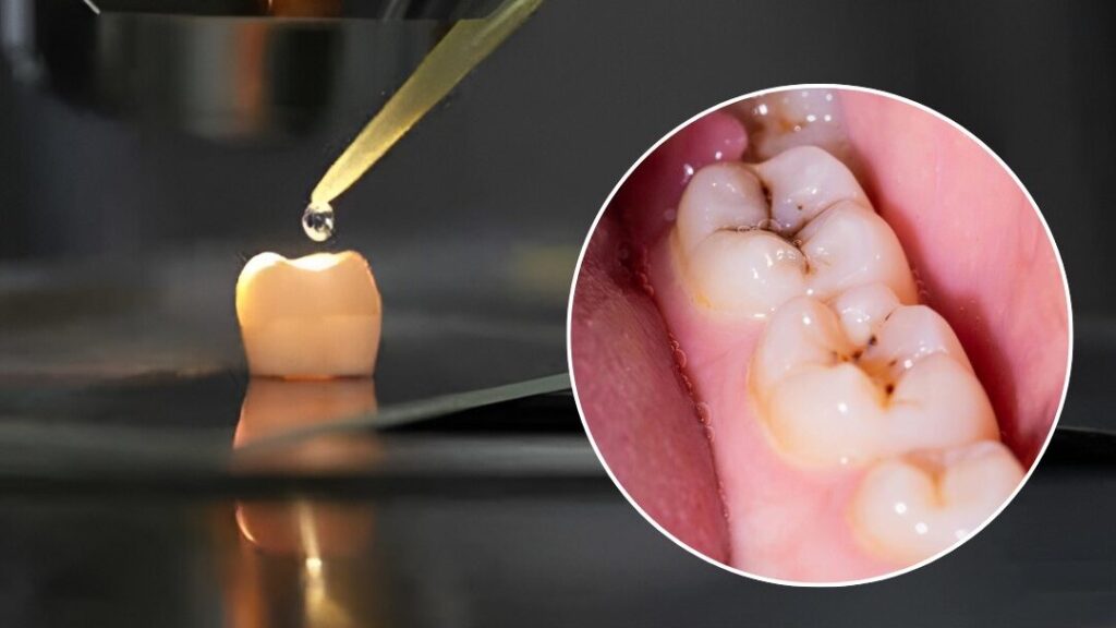 579201599_818501180985622_9091418424067859336_n