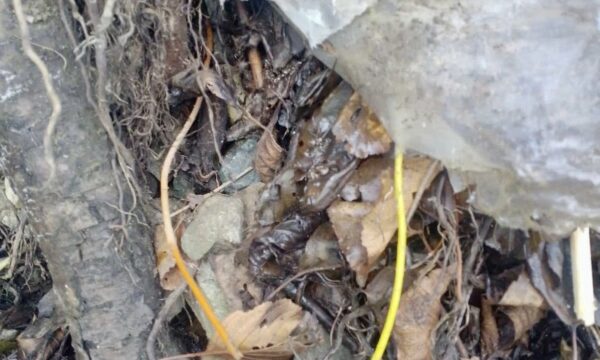 582218020_1382291357240470_1345046568873383852_n-600x360